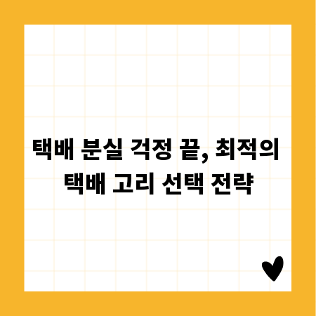택배 분실 걱정 끝, 최적의 택배 고리 선택 전략