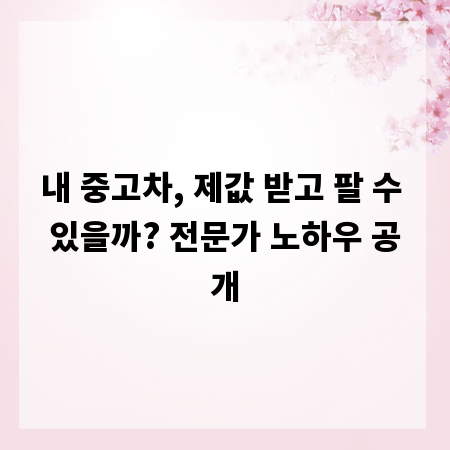 내 중고차, 제값 받고 팔 수 있을까? 전문가 노하우 공개
