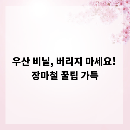 우산 비닐, 버리지 마세요! 장마철 꿀팁 가득