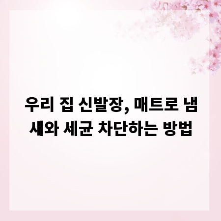 우리 집 신발장, 매트로 냄새와 세균 차단하는 방법