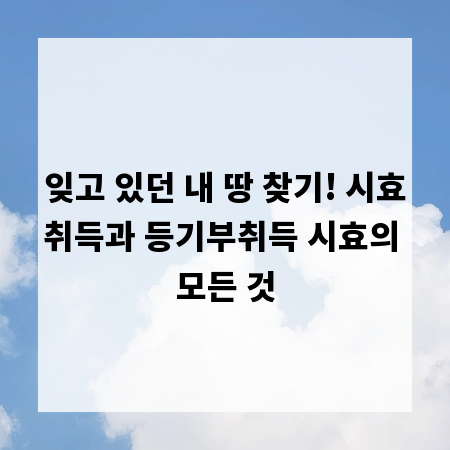 잊고 있던 내 땅 찾기! 시효취득과 등기부취득 시효의 모든 것