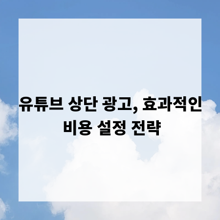 유튜브 상단 광고, 효과적인 비용 설정 전략
