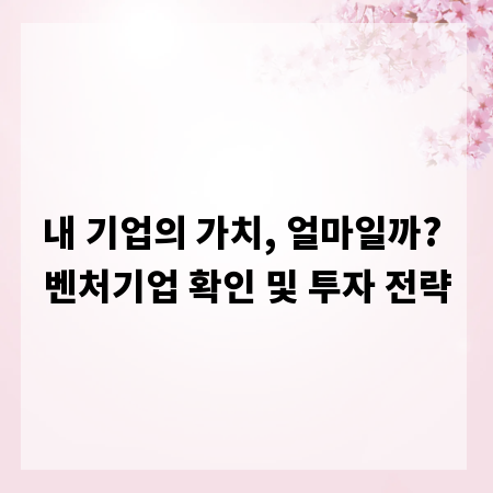 내 기업의 가치, 얼마일까? 벤처기업 확인 및 투자 전략
