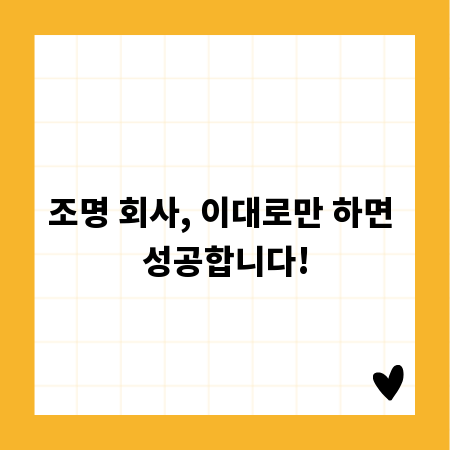 조명 회사, 이대로만 하면 성공합니다!