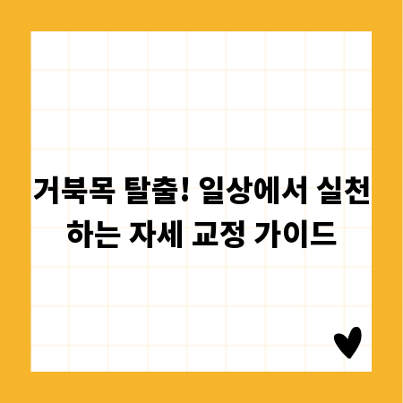 거북목 탈출! 일상에서 실천하는 자세 교정 가이드
