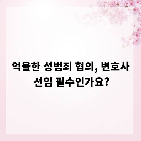 억울한 성범죄 혐의, 변호사 선임 필수인가요?