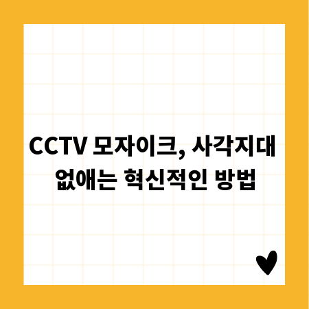 CCTV 모자이크, 사각지대 없애는 혁신적인 방법