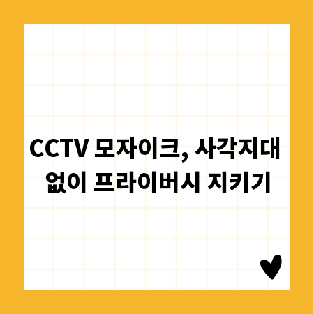 CCTV 모자이크, 사각지대 없이 프라이버시 지키기