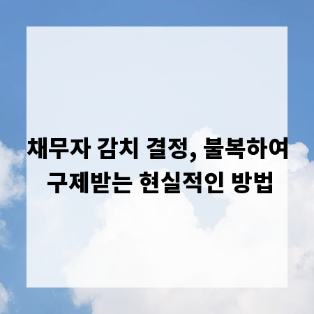 채무자 감치 결정, 불복하여 구제받는 현실적인 방법