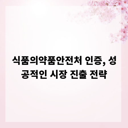 식품의약품안전처 인증, 성공적인 시장 진출 전략