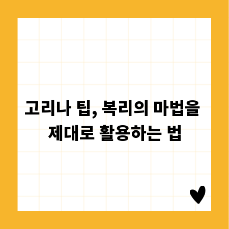 고리나 팁, 복리의 마법을 제대로 활용하는 법