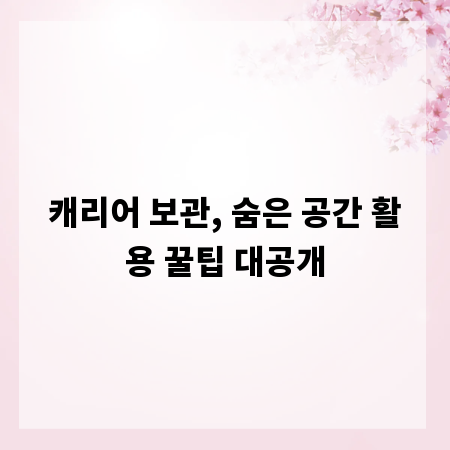 캐리어 보관, 숨은 공간 활용 꿀팁 대공개