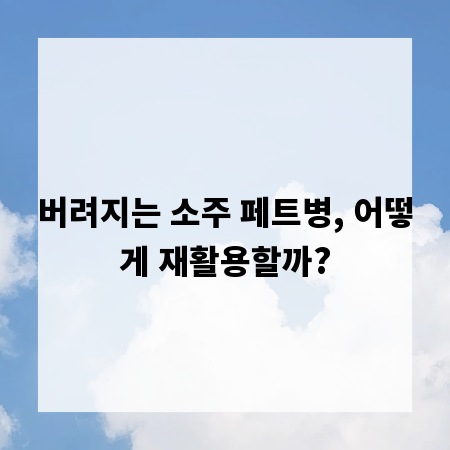 버려지는 소주 페트병, 어떻게 재활용할까?