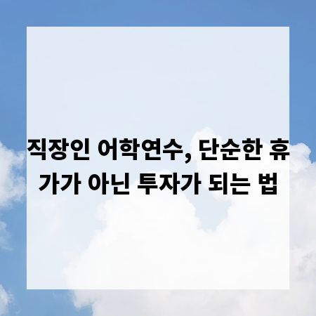 직장인 어학연수, 단순한 휴가가 아닌 투자가 되는 법