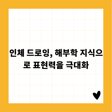 인체 드로잉, 해부학 지식으로 표현력을 극대화