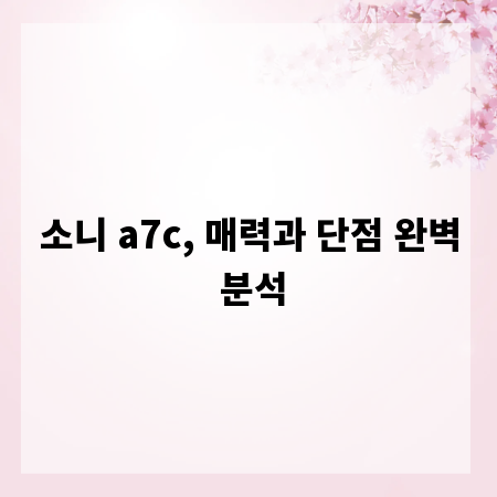 소니 a7c, 매력과 단점 완벽 분석
