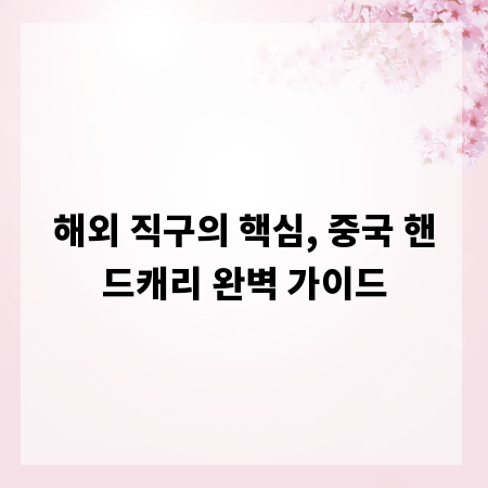 해외 직구의 핵심, 중국 핸드캐리 완벽 가이드