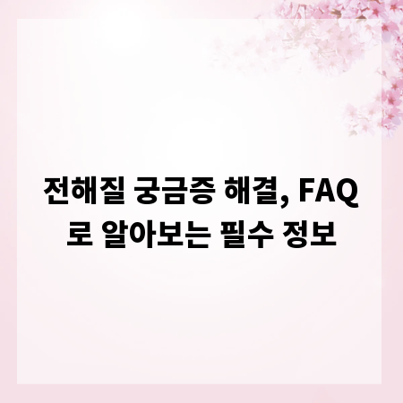전해질 궁금증 해결, FAQ로 알아보는 필수 정보