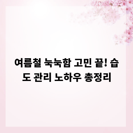 여름철 눅눅함 고민 끝! 습도 관리 노하우 총정리