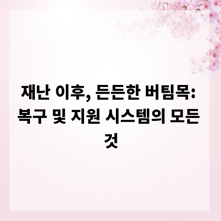재난 이후, 든든한 버팀목: 복구 및 지원 시스템의 모든 것