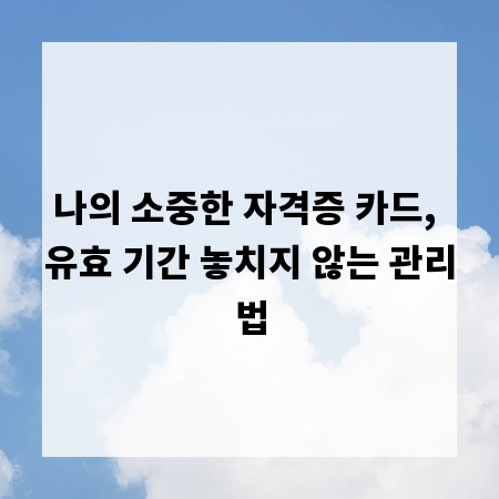 나의 소중한 자격증 카드, 유효 기간 놓치지 않는 관리법