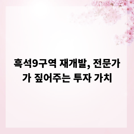 흑석9구역 재개발, 전문가가 짚어주는 투자 가치