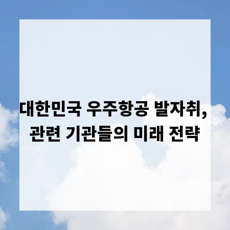 대한민국 우주항공 발자취, 관련 기관들의 미래 전략