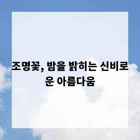 조명꽃, 밤을 밝히는 신비로운 아름다움