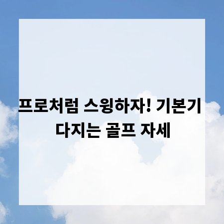 프로처럼 스윙하자! 기본기 다지는 골프 자세