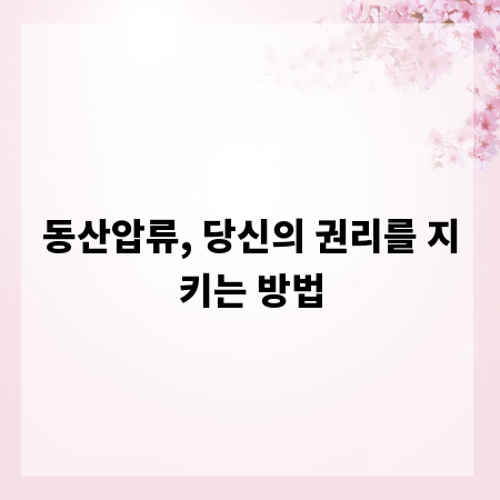 동산압류, 당신의 권리를 지키는 방법