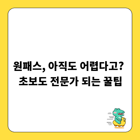 원패스, 아직도 어렵다고? 초보도 전문가 되는 꿀팁
