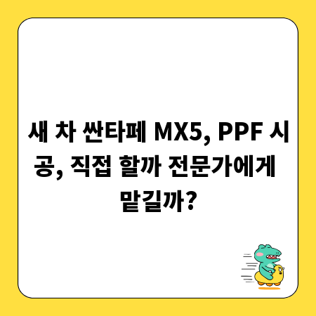 새 차 싼타페 MX5, PPF 시공, 직접 할까 전문가에게 맡길까?