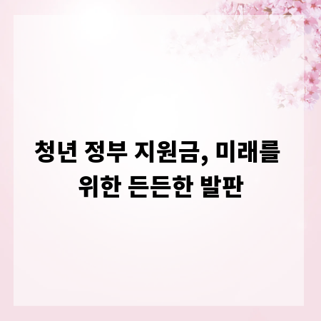 청년 정부 지원금, 미래를 위한 든든한 발판
