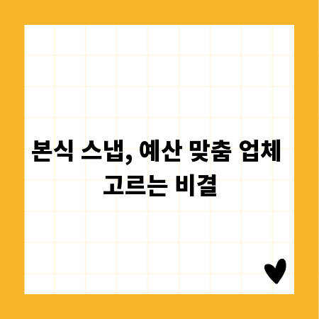 본식 스냅, 예산 맞춤 업체 고르는 비결