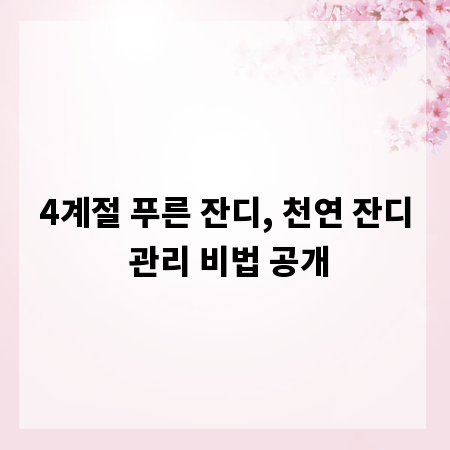 4계절 푸른 잔디, 천연 잔디 관리 비법 공개