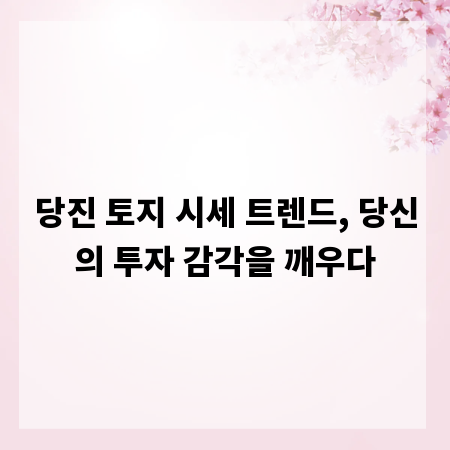 당진 토지 시세 트렌드, 당신의 투자 감각을 깨우다