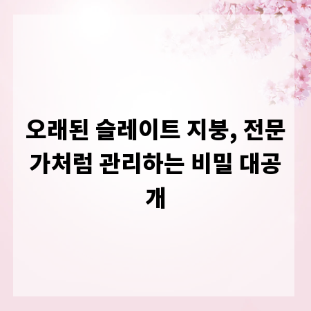 오래된 슬레이트 지붕, 전문가처럼 관리하는 비밀 대공개
