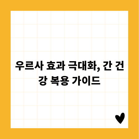 우르사 효과 극대화, 간 건강 복용 가이드