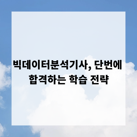 빅데이터분석기사, 단번에 합격하는 학습 전략