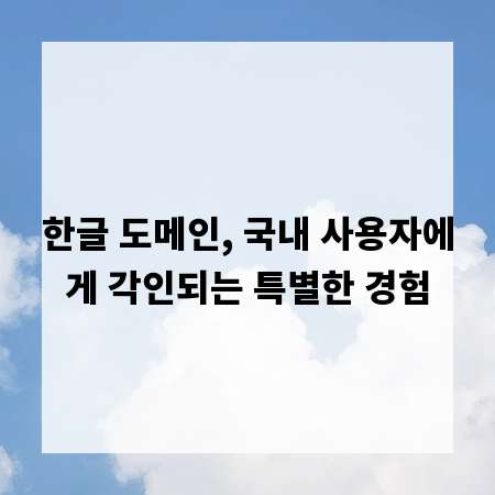 한글 도메인, 국내 사용자에게 각인되는 특별한 경험