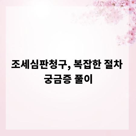 조세심판청구, 복잡한 절차 궁금증 풀이