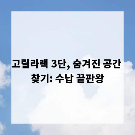 고릴라랙 3단, 숨겨진 공간 찾기: 수납 끝판왕