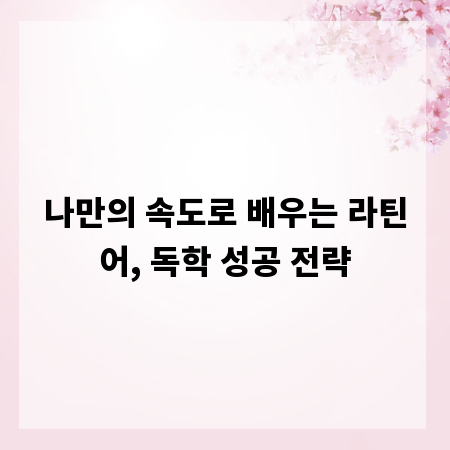 나만의 속도로 배우는 라틴어, 독학 성공 전략