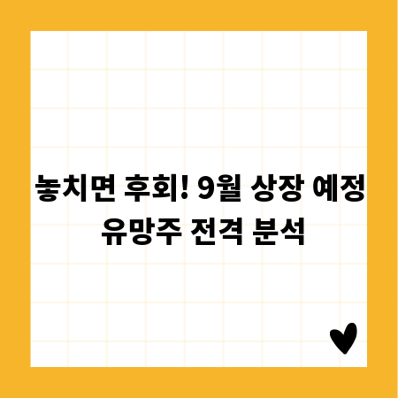 놓치면 후회! 9월 상장 예정 유망주 전격 분석