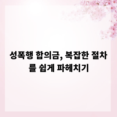 성폭행 합의금, 복잡한 절차를 쉽게 파헤치기
