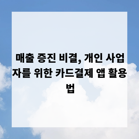 매출 증진 비결, 개인 사업자를 위한 카드결제 앱 활용법