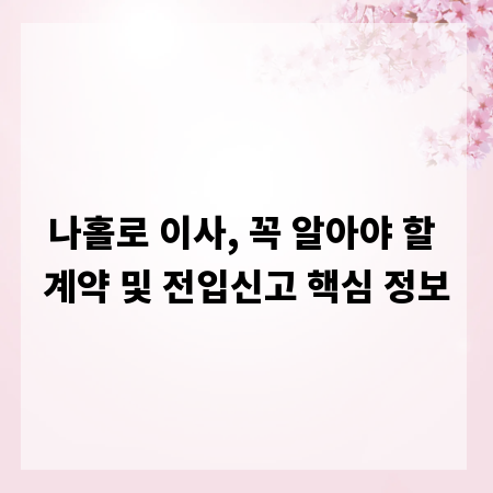 나홀로 이사, 꼭 알아야 할 계약 및 전입신고 핵심 정보