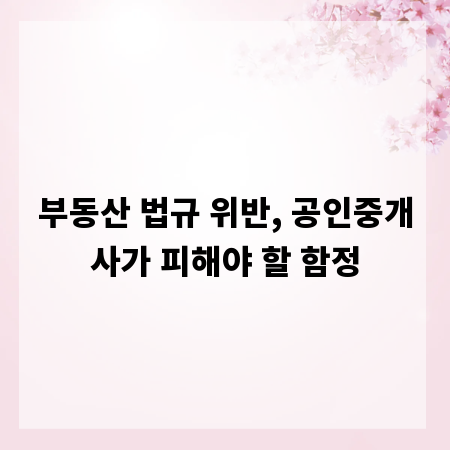 부동산 법규 위반, 공인중개사가 피해야 할 함정