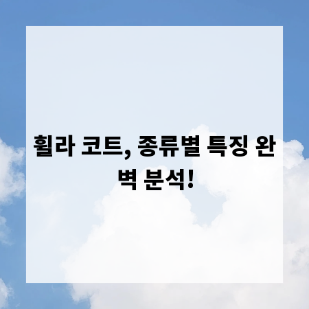 휠라 코트, 종류별 특징 완벽 분석!