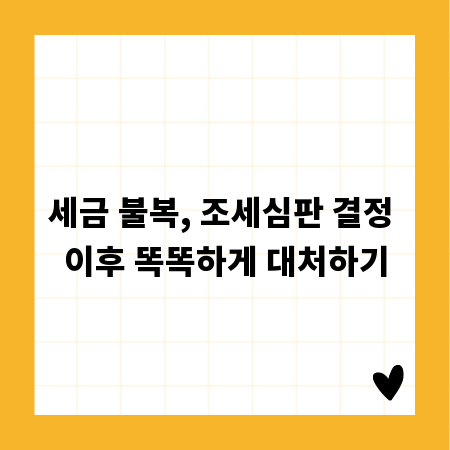 세금 불복, 조세심판 결정 이후 똑똑하게 대처하기